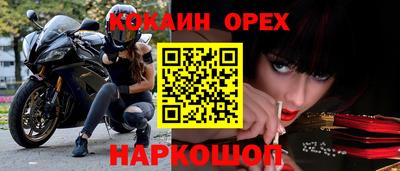 индика Славгород