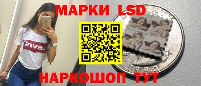 индика Славгород