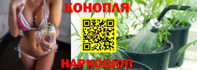 не бодяженный Сланцы