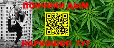 индика Славгород