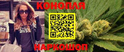 индика Славгород