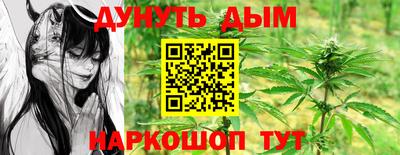 индика Славгород