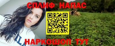 индика Славгород