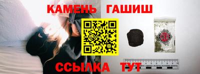 индика Славгород